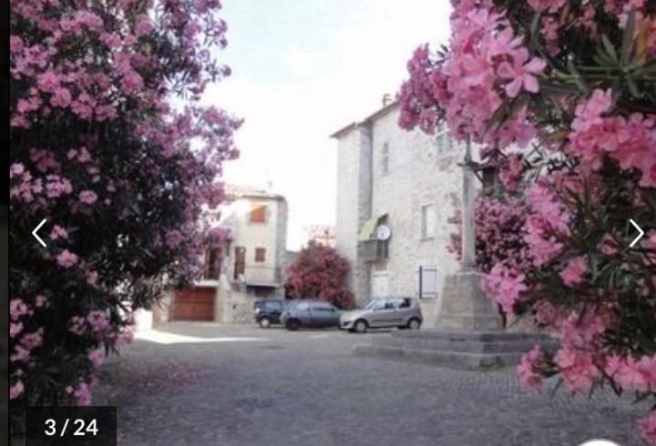 Ruoms Petite Maison 3* Centre-Village Exterior foto